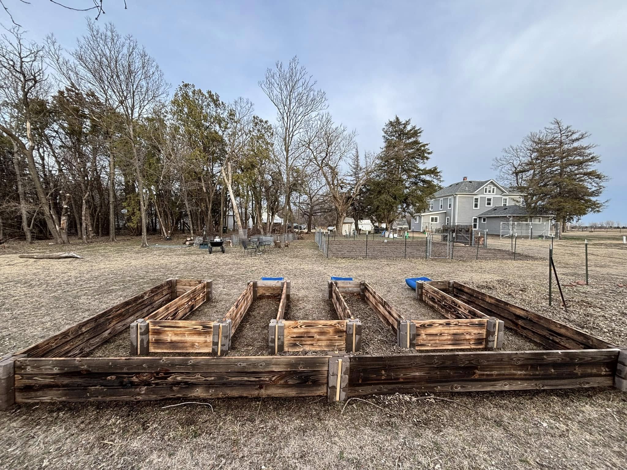 Raised garden beds in bloom
